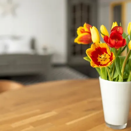 Spacious Ultracentral Apartment *