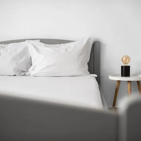 Spacious Ultracentral Apartment Cluj-Napoca